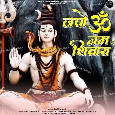 Japo Om Namah Shivay - Faeem Ali album cover 