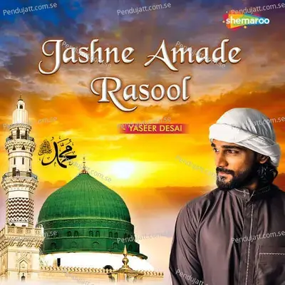 Haal-E-Dil Kisko Sunaayein - Yaseer Desai album cover 