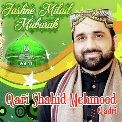 Nabi Ya Nabi - Qari Shahid Mehmood Qadri album cover 