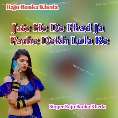 Jata Hi De Phad Ja Pache Dekh Lula Re - Raju Banka Kheda album cover 