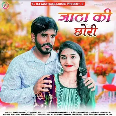 Jata Ki Chori - Shambhu Meena album cover 
