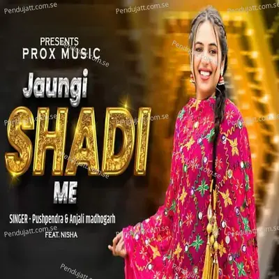 Jaungi Shadi Me - Pushpendra album cover 