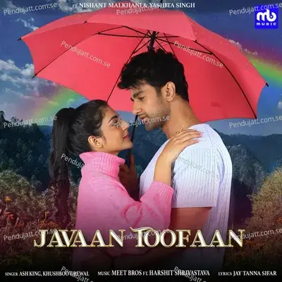 Javaan Toofaan - Meet Bros album cover 