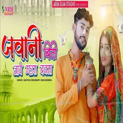 Javani Biti Jave Mhara Bansa - Vagtesh Choudhary album cover 