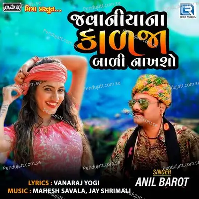 Javaniya Na Kalja Bali Nakhso - Anil Barot album cover 