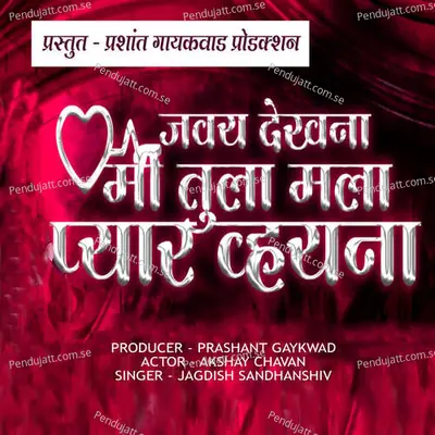 Javay Dekhna Mi Tula Mala Pyar Vhayna - Jagdish Sandhanshiv album cover 