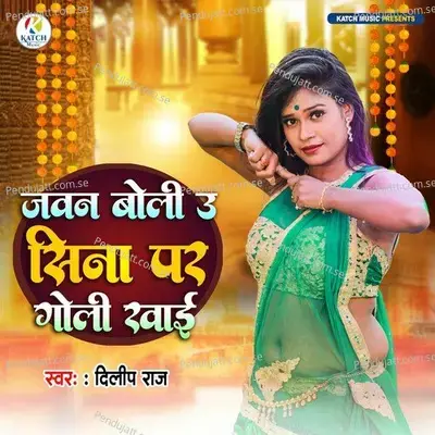 Jawan Boli U Sina Pe Goli Khai - Dilip Raj album cover 