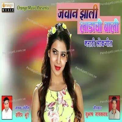 Jawan Zali Ladachi Bali - Sandeep Bhure album cover 