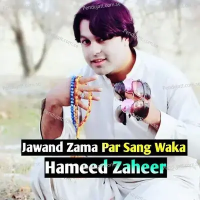 Jawand Zama Par Sang Waka - Hameed Zaheer album cover 