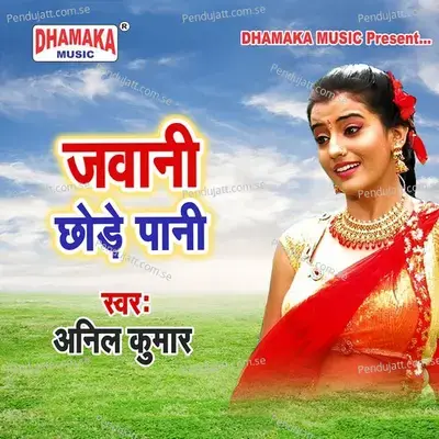 Jawani Chhode Pani - Anil Kumar album cover 