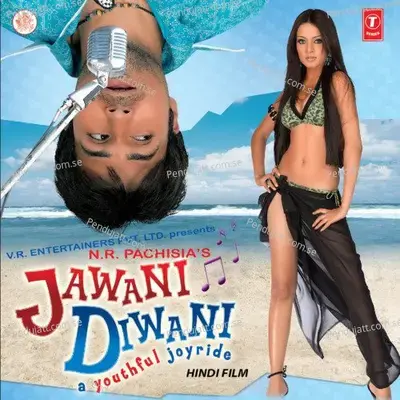 Dil Diwana - Sonu Nigam album cover 