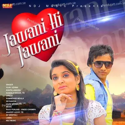 Jawani Hi Jawani - Vijay Verma album cover 