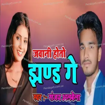 Jawani Hoto Jhand Ge - Sanjay Albela album cover 