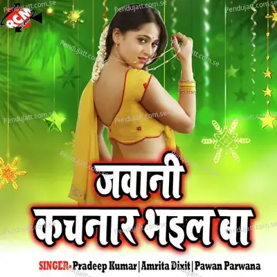 Cush La Raja Jawaniya - Amrita Dixit album cover 