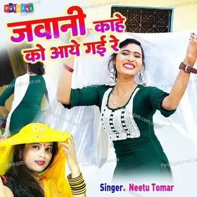 Jawani Kahe Ko Aaye Gayi Re - Neetu Tomar album cover 