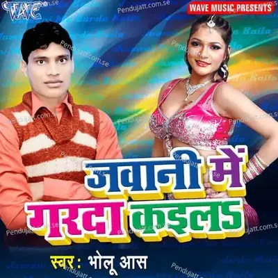 Leke Gaili Bhaari Pet - Bholu Aas album cover 