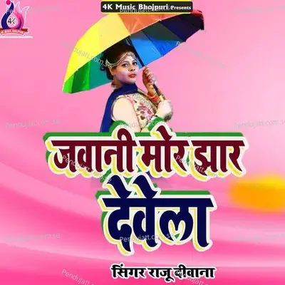 Hilata Palangwa - Raju Diwana album cover 