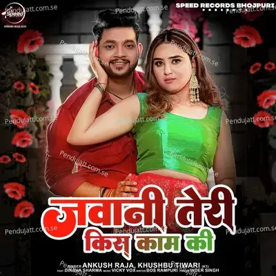 Jawani Teri Kis Kaam Ki - Ankush Raja album cover 