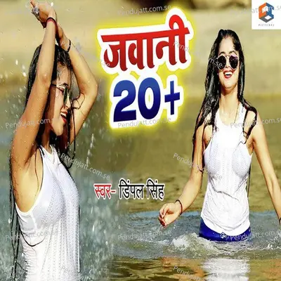 Jawani Twenty Plus - Dimpal Singh album cover 