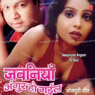 Nakhra Tora Sar Pe Utha Ke - Vicky Chandra album cover 