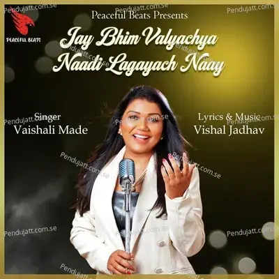 Jay Bhim Valyachya Naadi Lagayach Naay - Vaishali Made album cover 