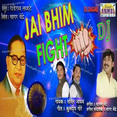 Jay Bhim Walyanchi Fight - Sachin Jadhav album cover 