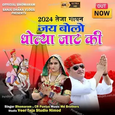 Jay Bolo Dholya Jaat Ki 2024 Teja Gayan - Cr Puniya album cover 