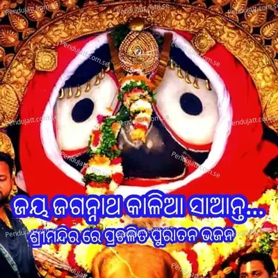Jay Jagannath Kalia Santa - Debanshi Dash album cover 