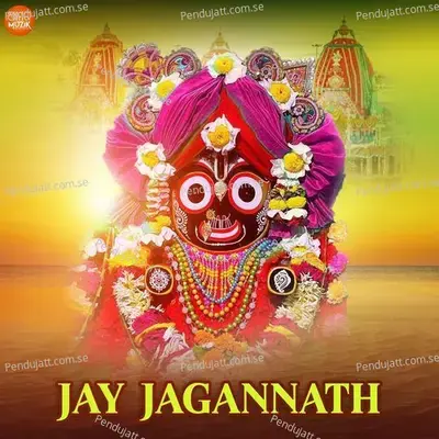 Jay Jagannath - Various Artists cover album