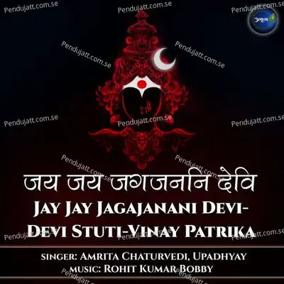 Jay Jay Jagajanani Devi-Devi Stuti-Vinay Patrika - Amrita Chaturvedi album cover 