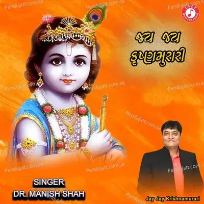 Jay Jay Krishnamurari - Dr. Manish Shah album cover 