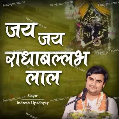 Jay Jay Radhaballabh Lal - Indresh Upadhyay album cover 