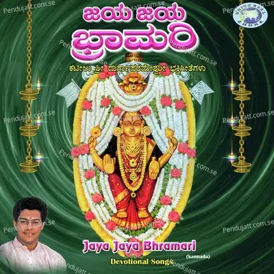 Durgaparameshwari Devi - Madhu Balakrishnan album cover 