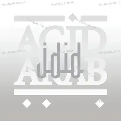 lectrique Yarghol - Acid Arab album cover 