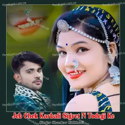 Jeb Chek Karbali Sigret N Todegi Ke - Shankar Bidhudi album cover 