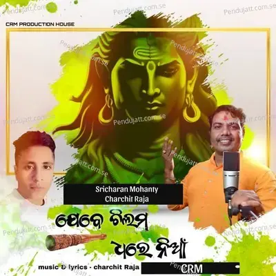Jebe Chilama Dhare Nian - Sricharan Mohanty album cover 