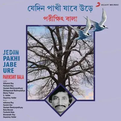 Chalo Jai Chalo Jai - Parikshit Bala album cover 