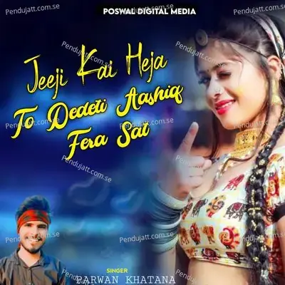 Jeeji Kai Heja To Dedeti Aashiq - Parwan Khatana album cover 