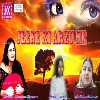 Jeene Ki Arzu Me - Méhek album cover 