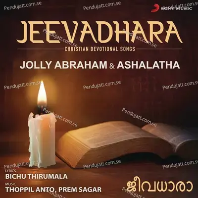 Paapamellam - Jolly Abraham album cover 