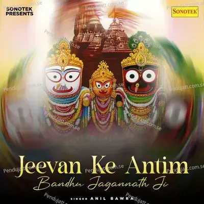 Jeevan Ke Antim Bandhu Jagannath Ji - Anil Bawra album cover 