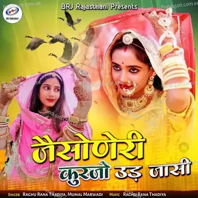 Jesoneri Kurjo Ud Jasi - Raghu Rana Thadiya album cover 