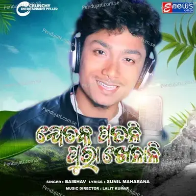Jetaka Patali Pura Khelali - baibhav pursty album cover 