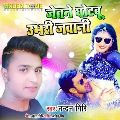 Jetane Ghotabu Ubhari Jawani - Nandan Giri album cover 