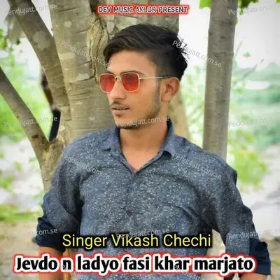 Jevdo N Ladyo Fasi Khar Marjato - Vikash Chechi album cover 