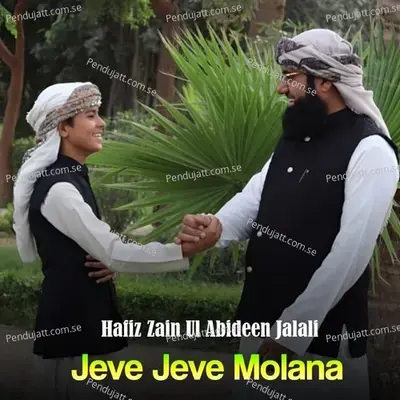 Jeve Jeve Molana - Hafiz Zain Ul Abideen Jalali album cover 