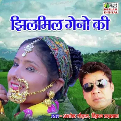 Jhil Mil Geno Ki - Vikram Kaprawan album cover 