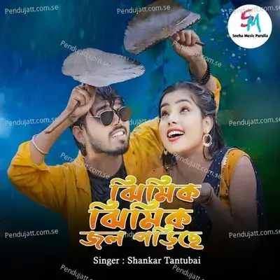 Jhimik Jhimik Jol Podiche - Shankar Tantubai album cover 