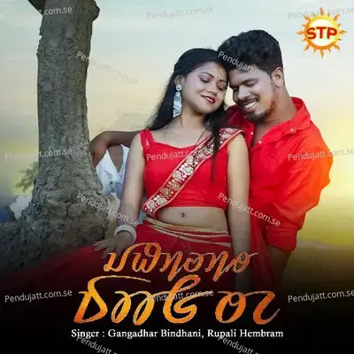 Jhipir Dah Te - GANGADHAR BINDHANI album cover 