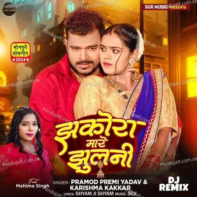 Jhokora Mare Jhulani Dj Remix - Pramod Premi Yadav album cover 